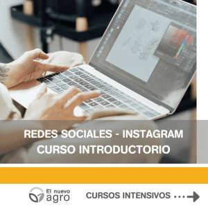 Redes Sociales - Nivel 1